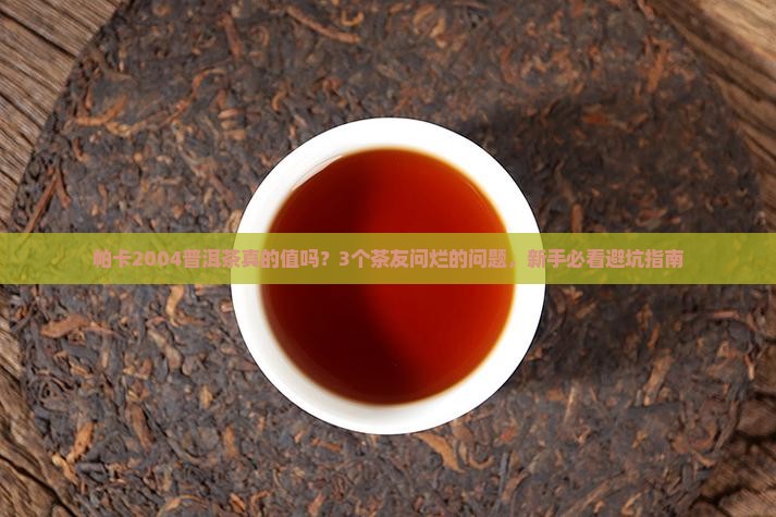 帕卡2004普洱茶