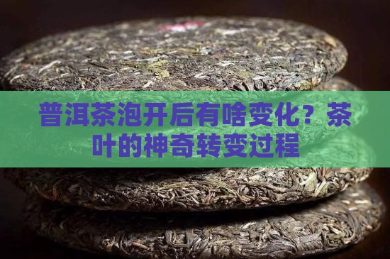 普洱茶泡开后有