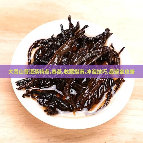 大雪山普洱茶特点春茶