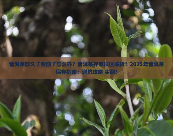 普洱茶放久了变酸了