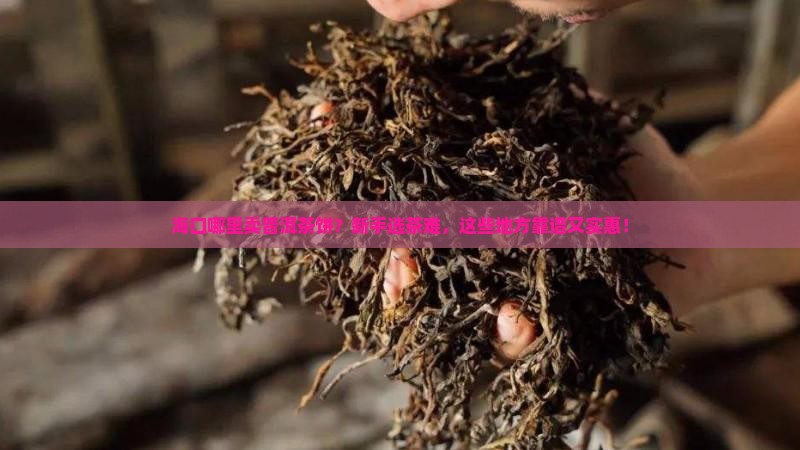 海口哪里卖普洱茶饼