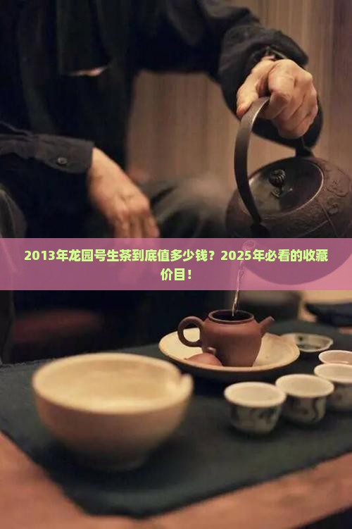 2013年龙园号生茶价钱
