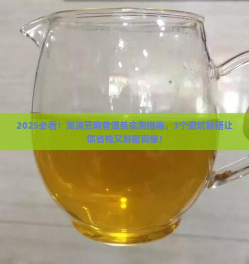 海涛云南普洱茶