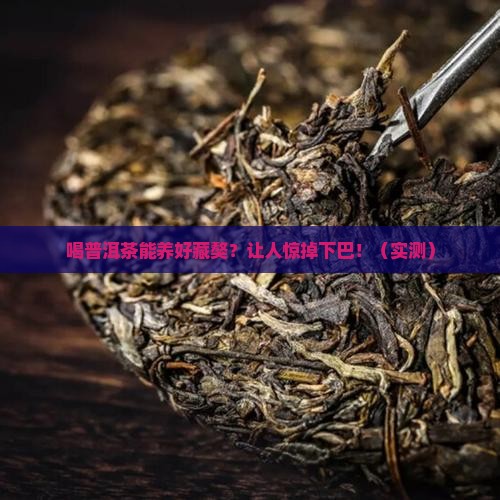 喝普洱茶养藏獒