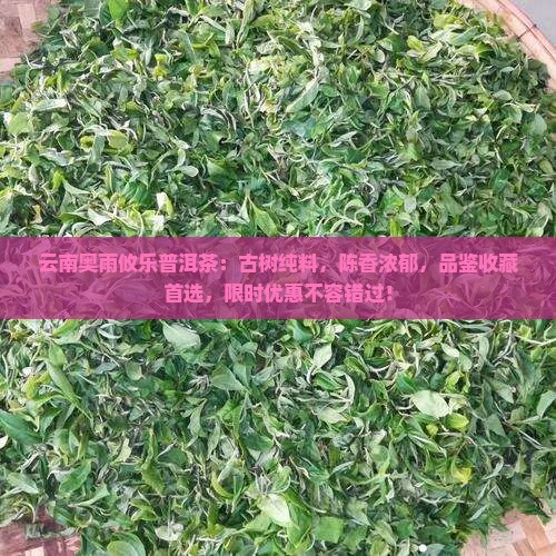 云南奥雨攸乐普洱茶