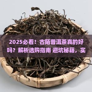 古陌普洱茶好吗