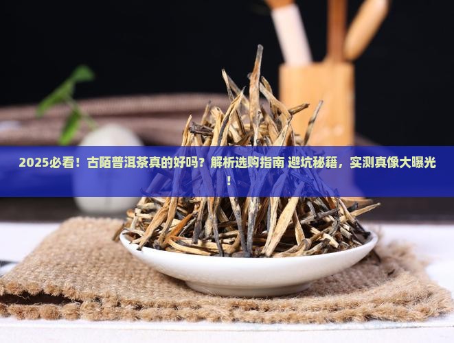 古陌普洱茶好吗