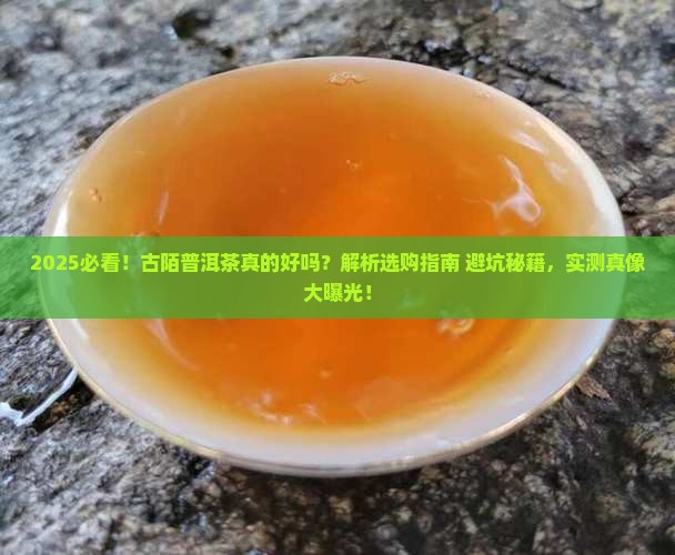 古陌普洱茶好吗