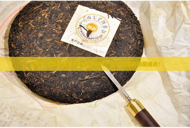云贡普洱茶陈宝国
