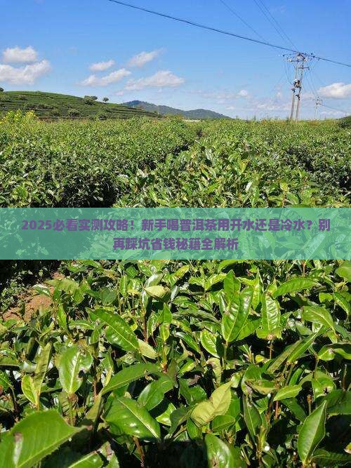 普洱茶用开水冲还是冷水