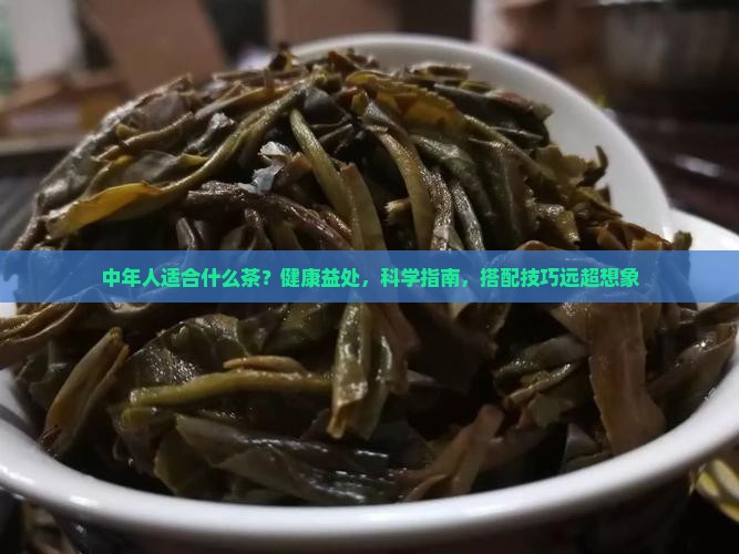中年人适合什么茶