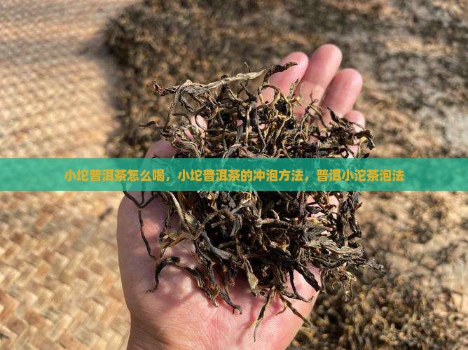 小坨普洱茶怎么喝