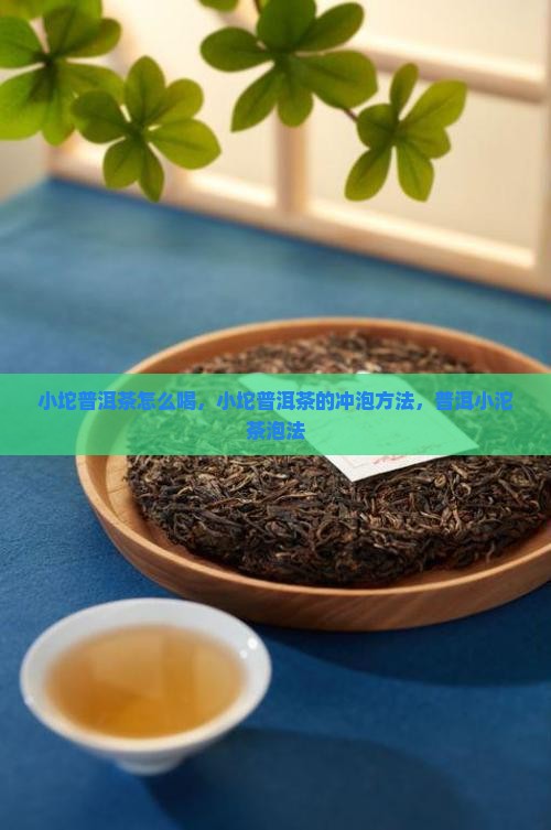 小坨普洱茶怎么喝