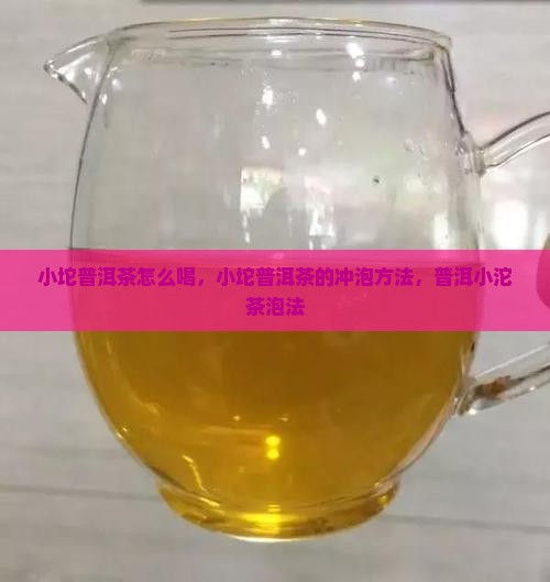 小坨普洱茶怎么喝