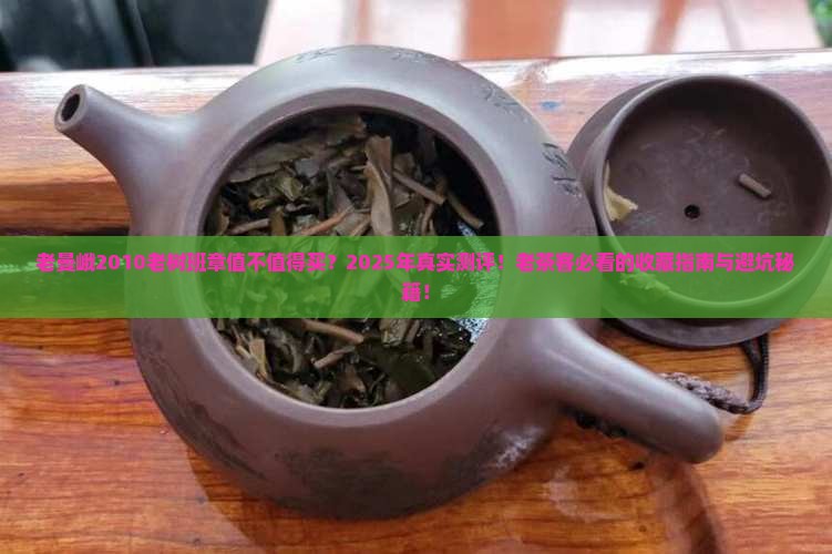 老曼峨2010老树班章