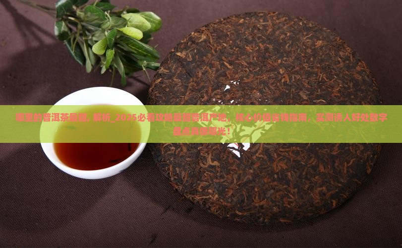 哪里的普洱茶最甜