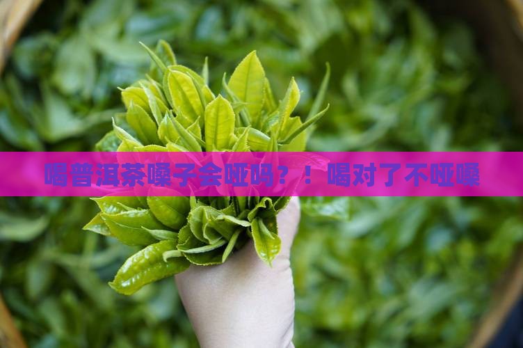 喝普洱茶嗓子会哑吗