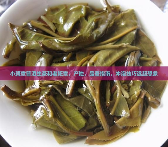 小班章普洱生茶和老班章