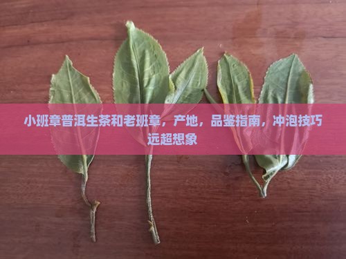 小班章普洱生茶和老班章