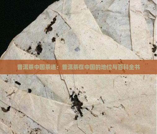普洱茶中国茶道