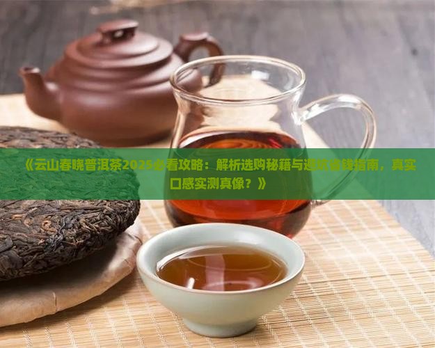 云山春晓普洱茶