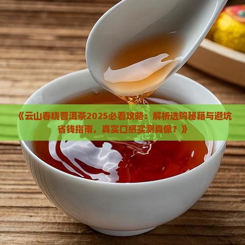 云山春晓普洱茶