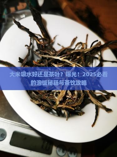 大米吸水好还是茶叶