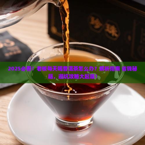 老板每天喝普洱茶怎么办