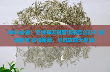 老板每天喝普洱茶怎么办