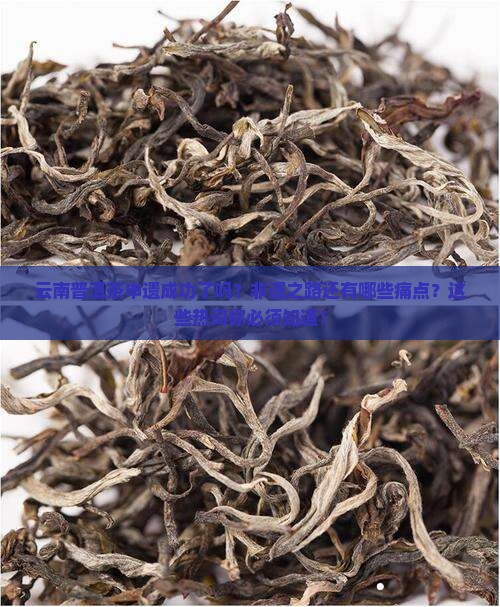 云南普洱茶申遗