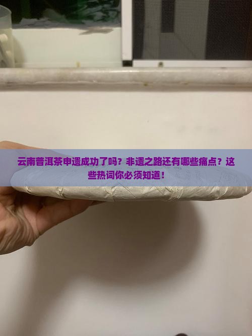 云南普洱茶申遗