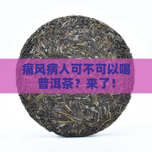 痛风病人可不可以喝普洱茶