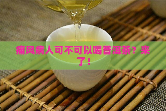 痛风病人可不可以喝普洱茶