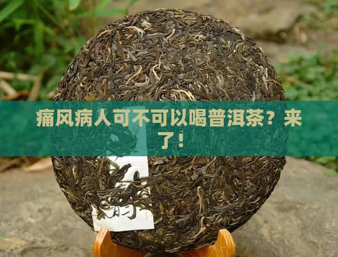 痛风病人可不可以喝普洱茶