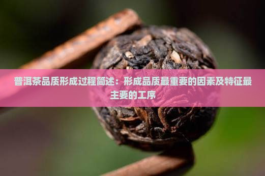 普洱茶品质形成过程简述