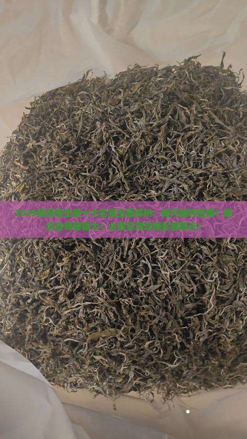 普洱茶生茶十大名寨