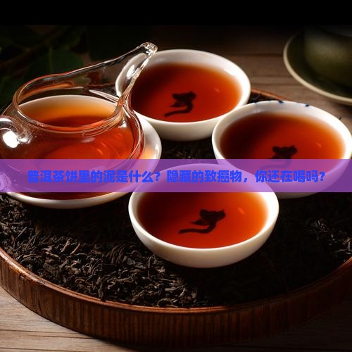 普洱茶饼里面的泥是什么