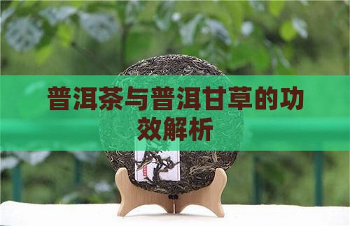 普洱茶配炙甘草的功效