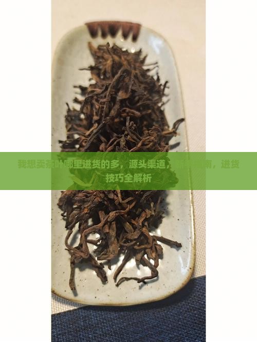 我想卖茶叶哪里进货的多