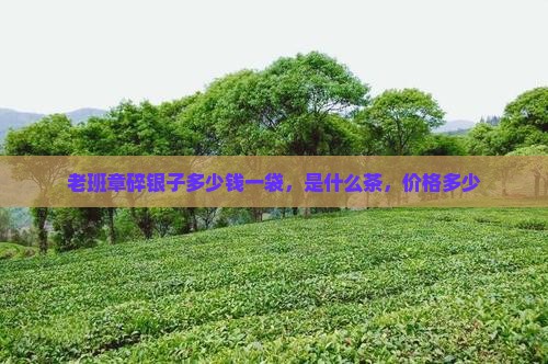 老班章碎银子多少钱一袋