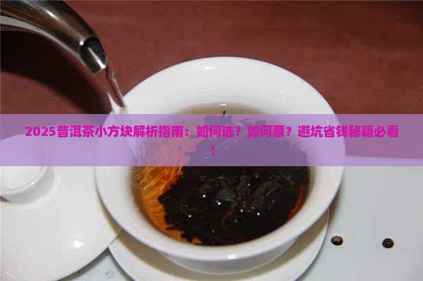 普洱茶小方块交个朋友