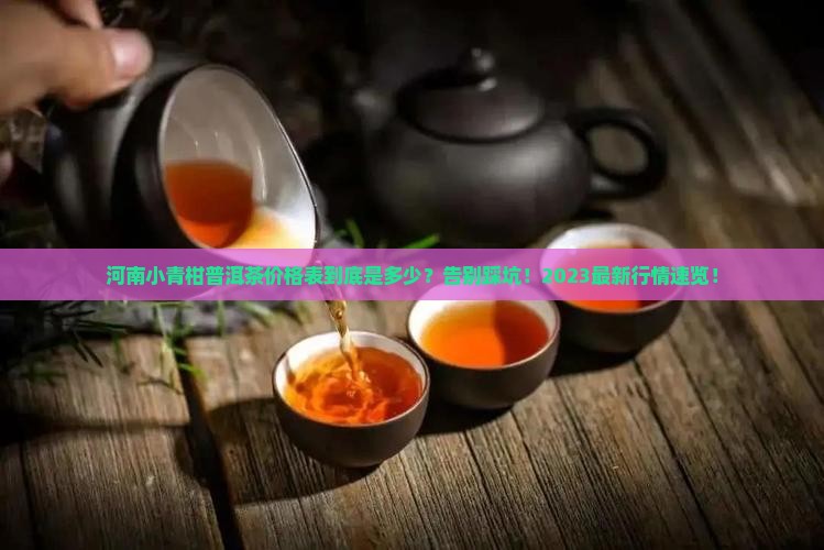 河南小青柑普洱茶价格表