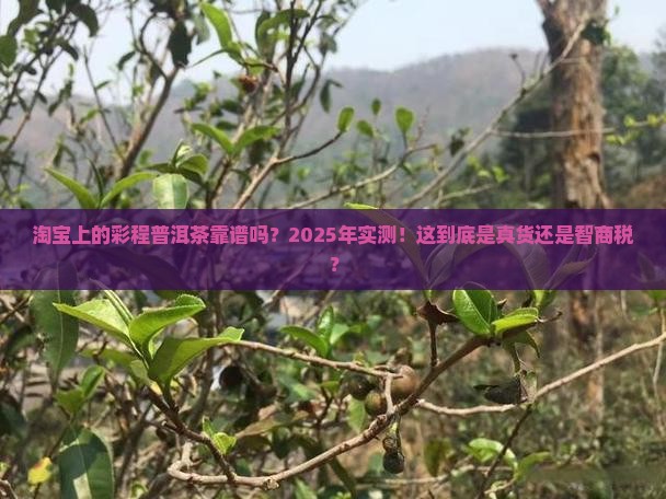 淘宝上的彩程普洱茶靠谱吗