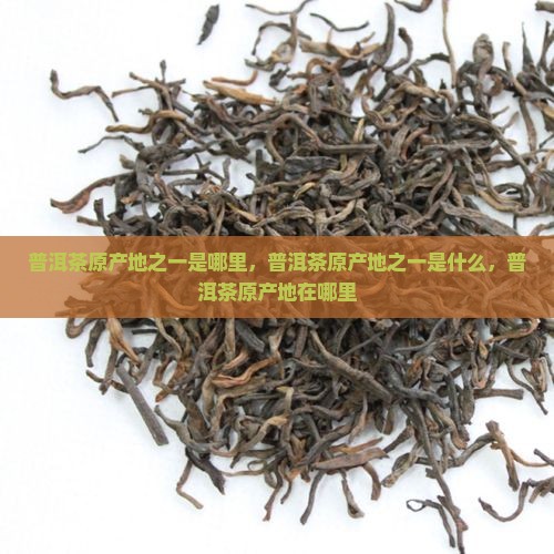 普洱茶原产地之一