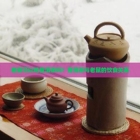 老鼠可以吃普洱茶吗