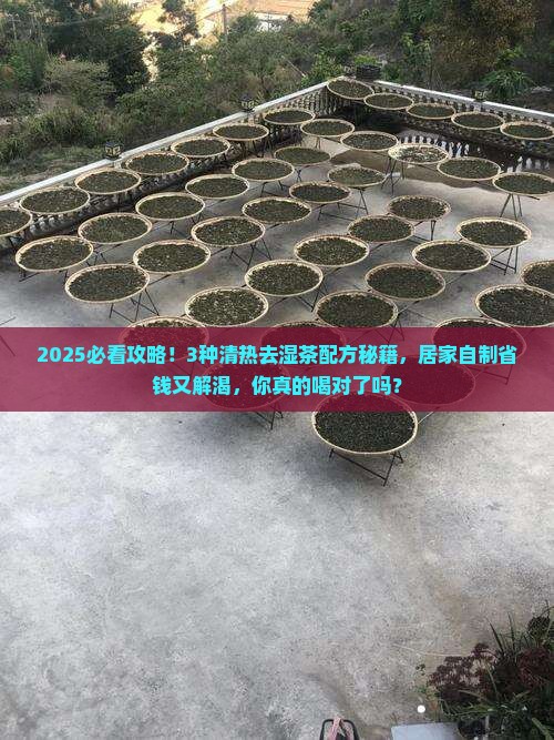 清热去湿茶的配方