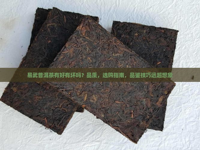 易武普洱茶有好有坏吗