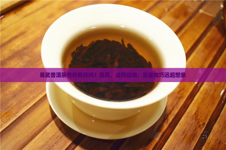 易武普洱茶有好有坏吗