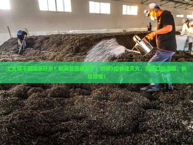 上火能不能喝茶叶水