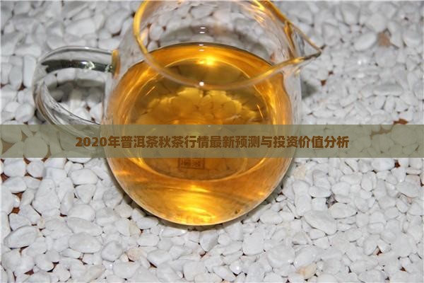 2020年普洱茶秋茶行情